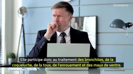 Phytothérapie - Coquelicot