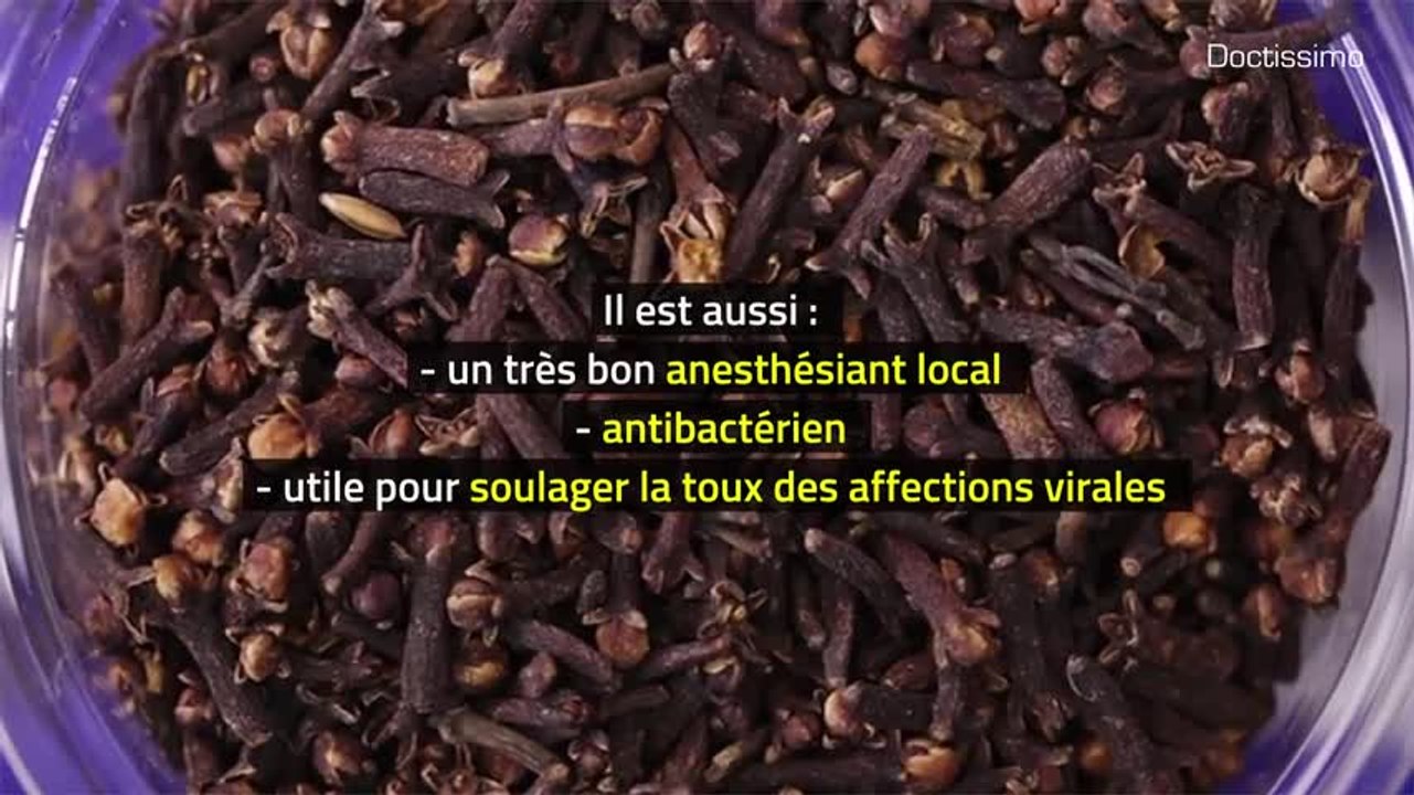 Phytothérapie - Girofle