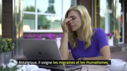 Phytothérapie - Origan