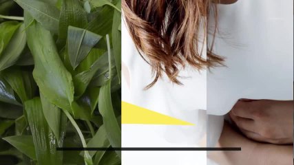 Phytothérapie - Ail des ours