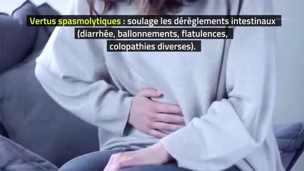 Phytothérapie - Thym