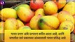 Food Items to Avoid With Mangoes: आंबा खाल्ल्यानंतर लगेचच \'हे\' 5 पदार्थ चुकूनही खाऊ नका