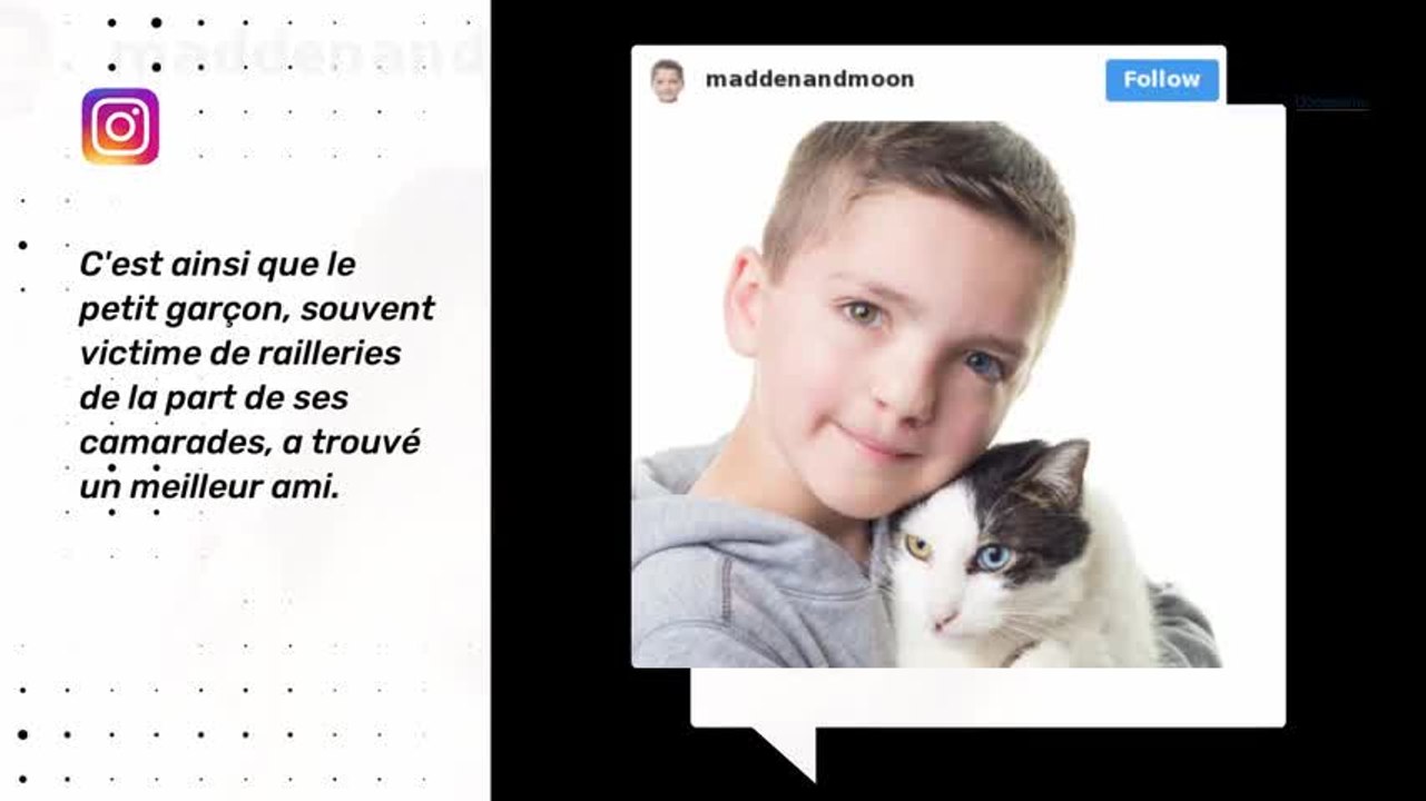 Une belle histoire d'amitié