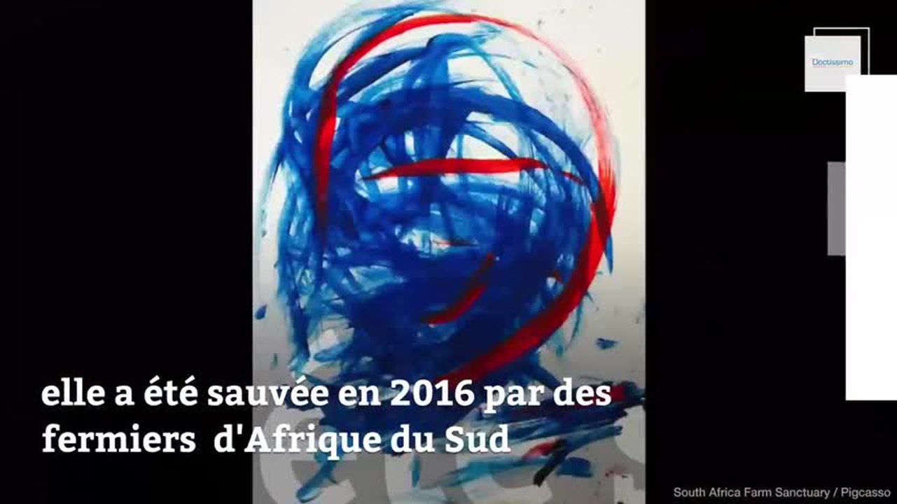 Qui est ce cochon peintre qui fait sensation