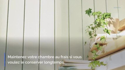 Bien dormir : voici 7 plantes miraculeuses !