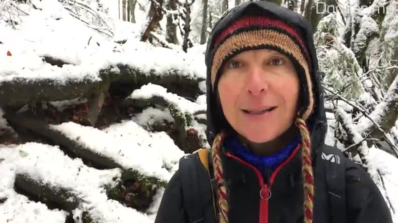 Marcher sans se fatiguer avec la marche afghane
