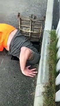 Il sauve des bébés canards tombés dans les égouts devant leur mère