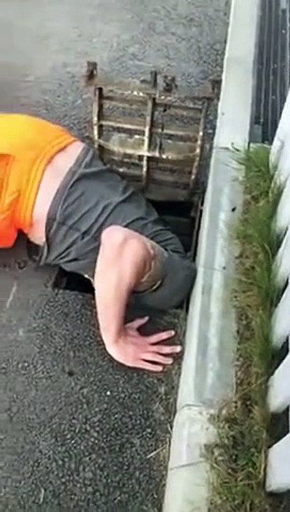 Il sauve des bébés canards tombés dans les égouts devant leur mère