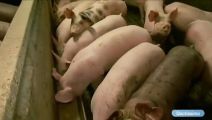 Manger peut-il nuire à la santé