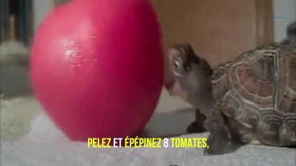 Des perturbateurs endocriniens dans les sauces tomates industrielles