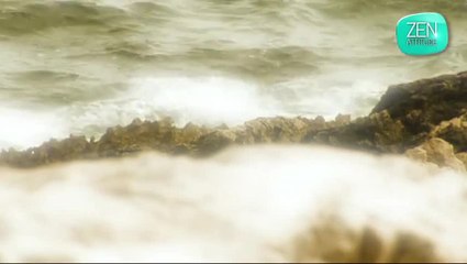 Zen attitude : amour