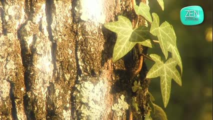 Eviter la lecture de pensée