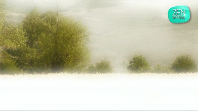 Séance d'autohypnose autour du désir