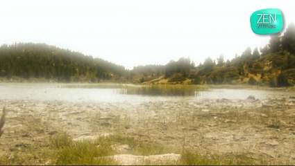 Fringale émotionnelle