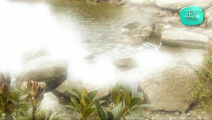 Zen attitude - Harmonie