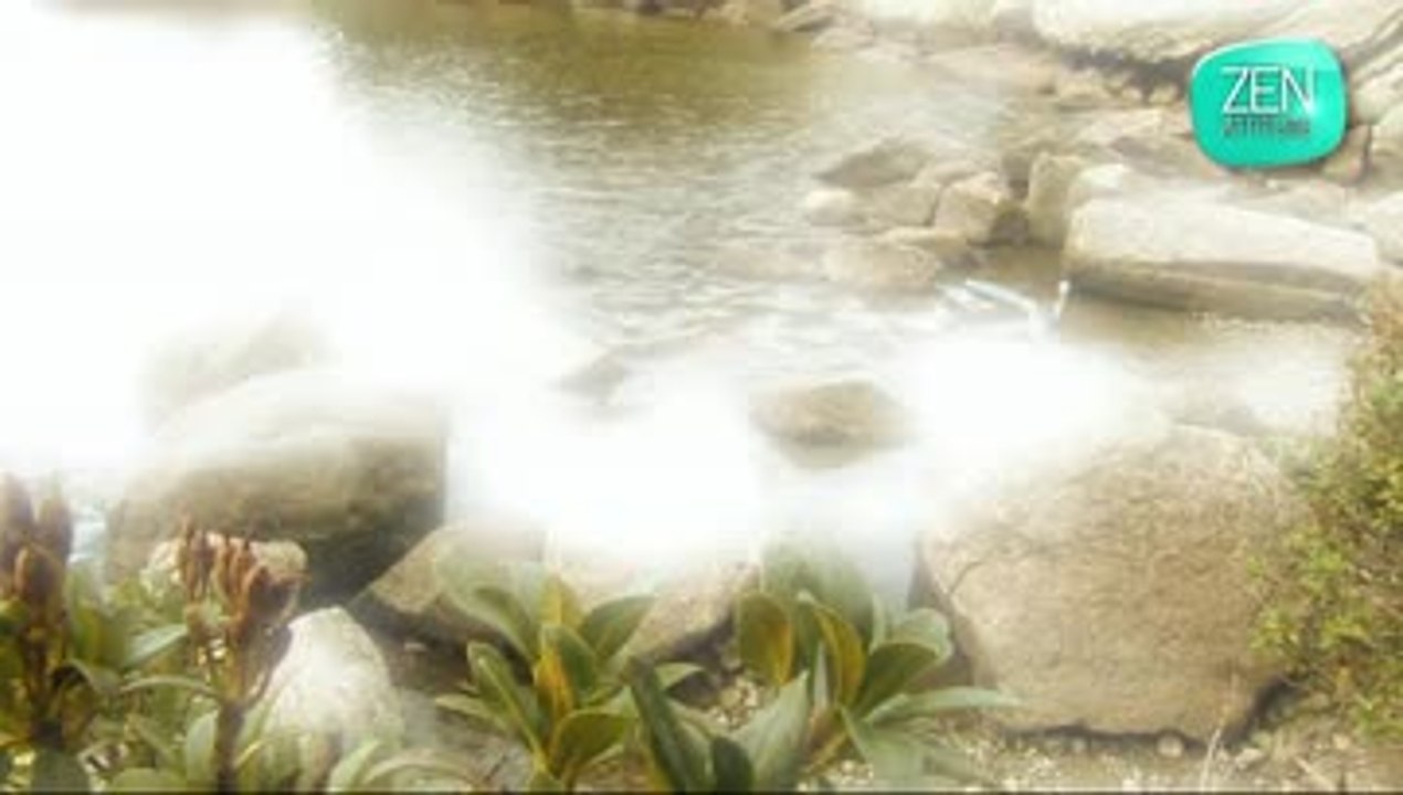 Zen attitude - Harmonie