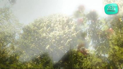 Zen attitude : le jardin merveilleux