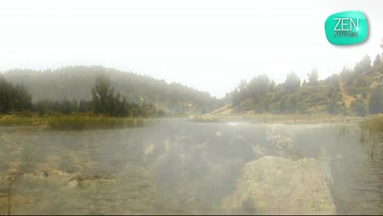 Zen attitude : Positivation