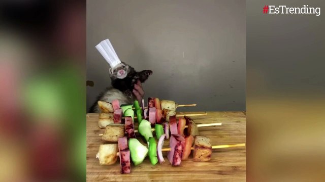 Este hurón vestido de chef es lo más tierno que verás hoy