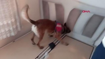 Son Dakika | İZMİR'DEKİ UYUŞTURUCU OPERASYONUNDA 9 ŞÜPHELİ GÖZALTINDA