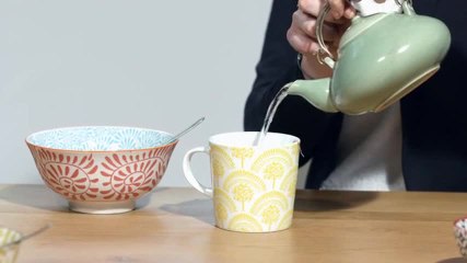 Phytothérapie - Comment utiliser la mélisse