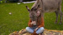 Tierischer Reisebegleiter: Unterwegs mit einem Esel