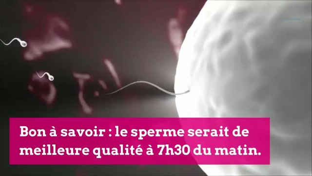 Quel est le meilleur moment pour tomber enceinte