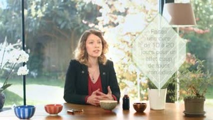 Phytothérapie – Comment utiliser le ginseng