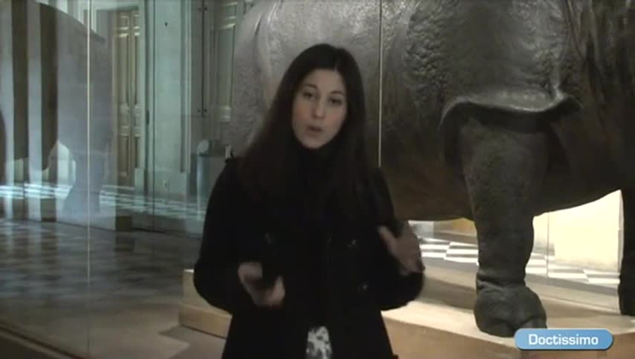 L’exposition "Sciences et curiosités à la cour des Versailles"