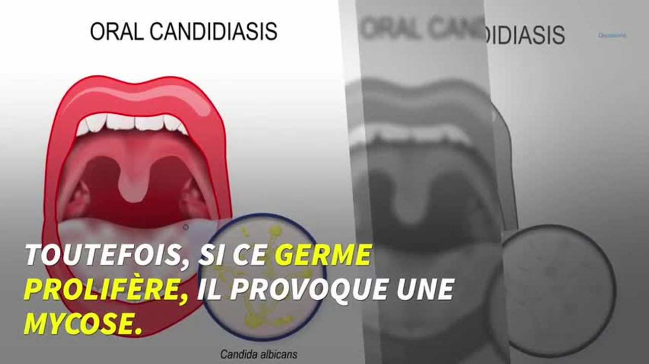 elfbar nachfüll pod läuft aus Petites cigarettes électroniques : nos e-cigarettes minis