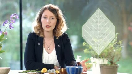 Phytothérapie - Comment utiliser le pissenlit