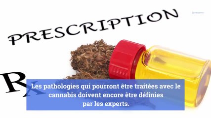 Le cannabis thérapeutique bientôt autorisé en France