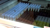 Le parcours d’un tube de sang au laboratoire de biologie médicale