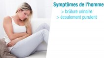 Symptômes et traitement  de la blennorragie