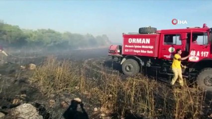 Datça’da 19 dönüm ekili alan kül oldu
