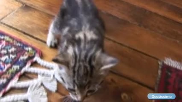 Limiter les allergies aux pollens, aux animaux et aux plantes