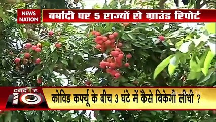 चक्रवात यास का मौसमी फलों पर मार, हवा और बारिश ने बर्बाद की फसलें