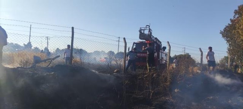 Son dakika haberi! Muğla'da buğday ekili tarlada çıkan yangında 17 dönüm alan zarar gördü