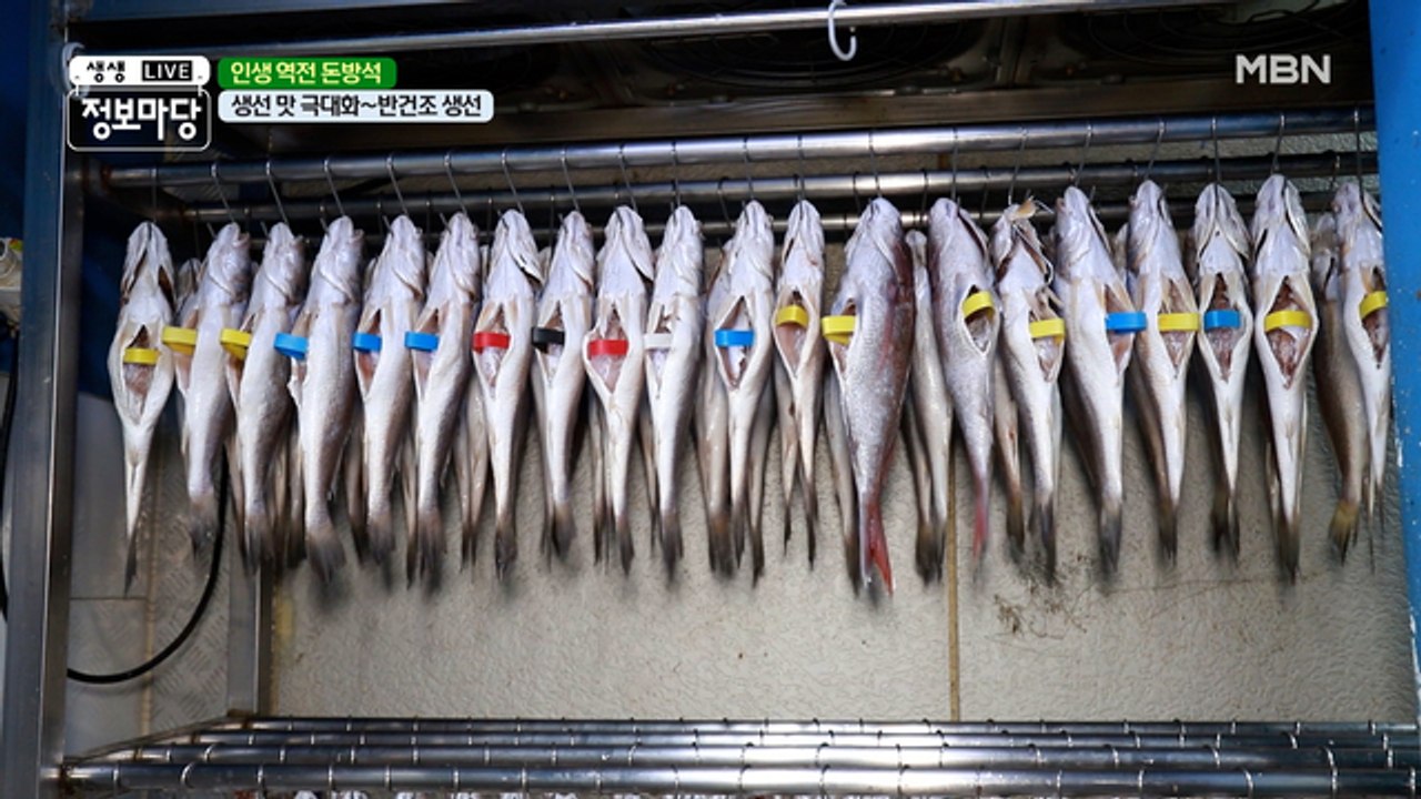 연 매출 9억의 마지막 비결! OOO 생선만 취급!