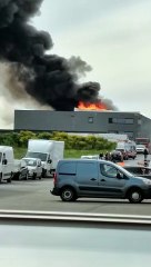 VIDEO-2021-05-28-19-09-44