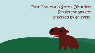 5 Dogs Mental Health Stories!