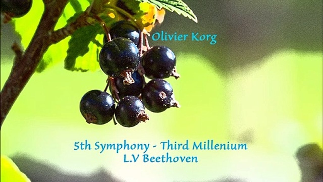 5th Symphony - 3 rd Millenium