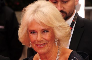 Camilla isn’t a Boris fan? Duchess Camilla horrified by Boris Johnson pet toy