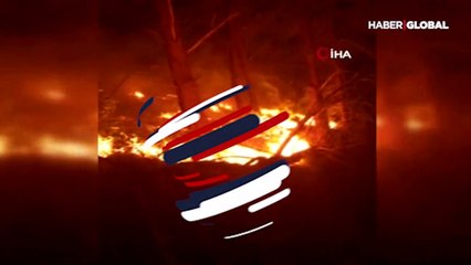 Adana'da orman yangını