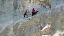 Kahramanmaraş'ta kayalıkta mahsur kalan hayvanları JAK timleri kurtardı
