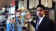 Science Sundays - Brothers take top place at international science fair