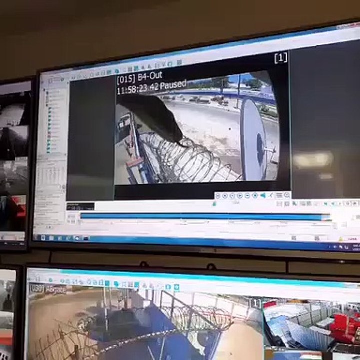 A big snake on video camera