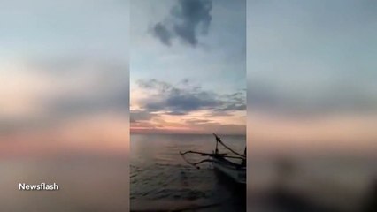 Mystery as black UFO falls out of sky leaving trail of smoke
