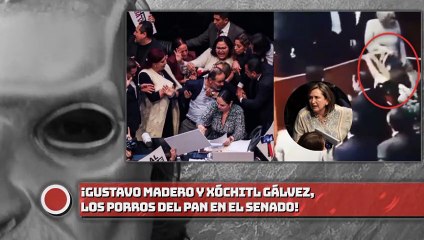 ¡GUSTAVO MADERO Y XÓCHITL GÁLVEZ, LOS PORROS DEL PAN EN EL SENADO!