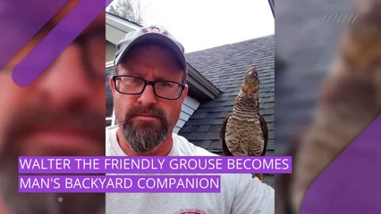 24/7 video newswire featuring breaking news, research, and entertainment.